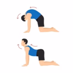 Current image: CAT COW POSE